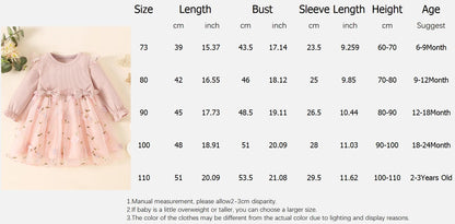 Autumn Spring Toddler Baby Dress Fashion Long Sleeve Knit Flower Embroider Baby Dress Round Neck Casual Pink Dress
